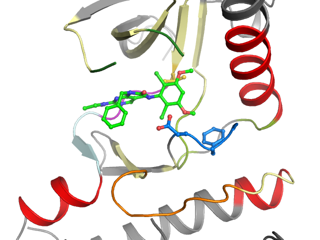 The orthosteric binding pocket