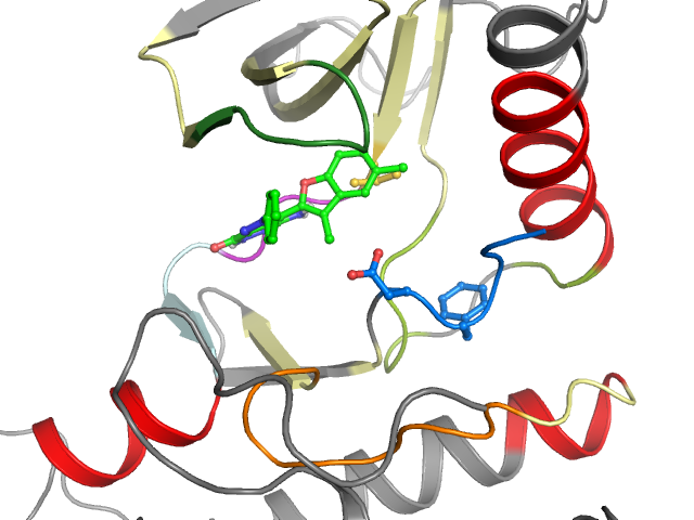 The orthosteric binding pocket