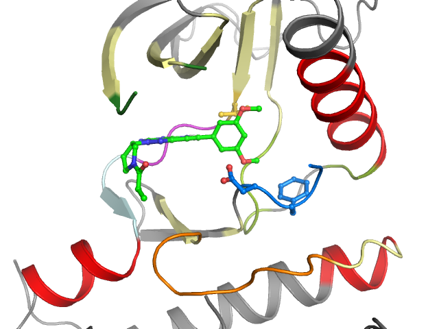 The orthosteric binding pocket