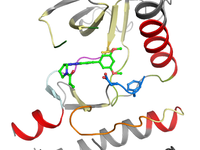The orthosteric binding pocket