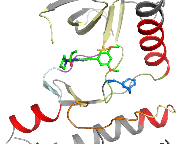 The orthosteric binding pocket