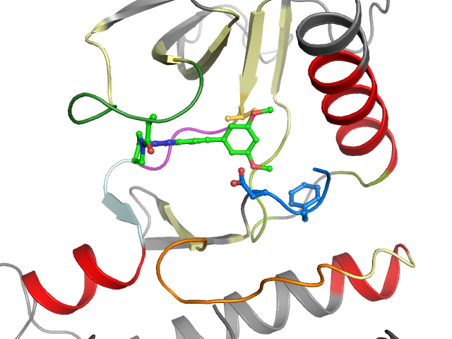 The orthosteric binding pocket