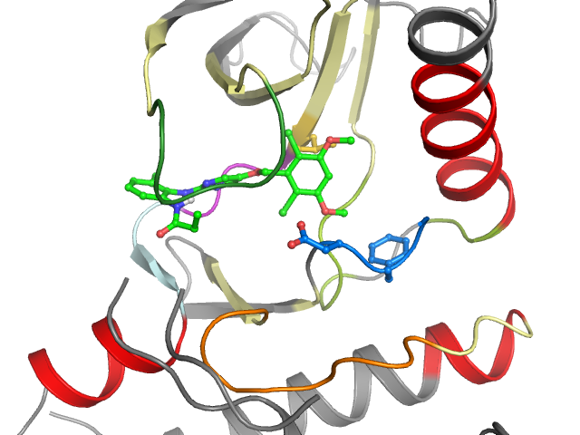 The orthosteric binding pocket
