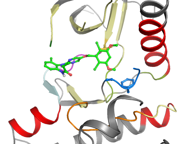 The orthosteric binding pocket