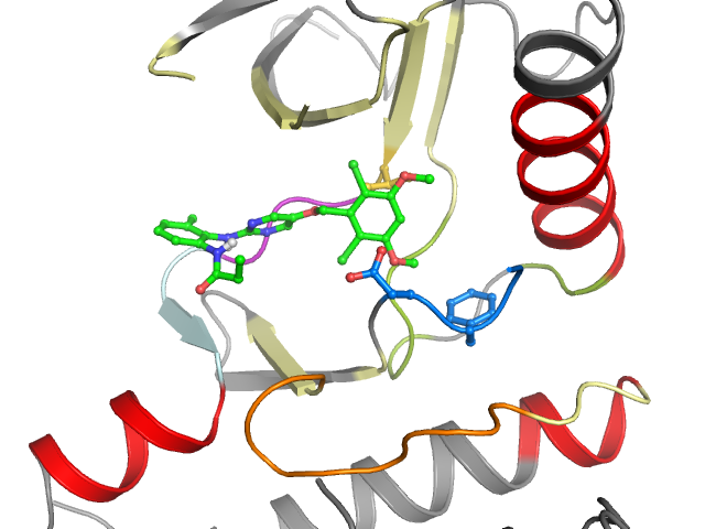 The orthosteric binding pocket
