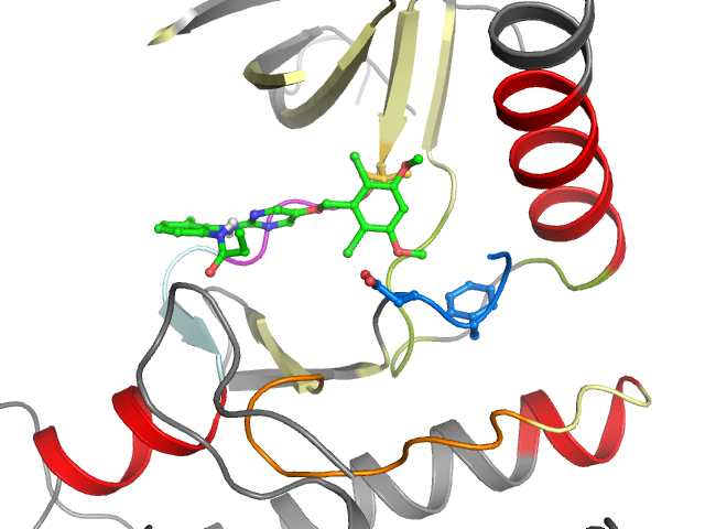 The orthosteric binding pocket