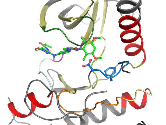 The orthosteric binding pocket