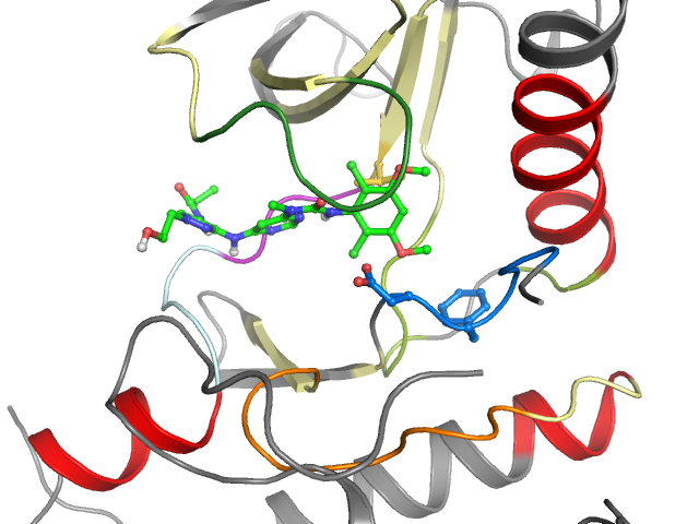 The orthosteric binding pocket