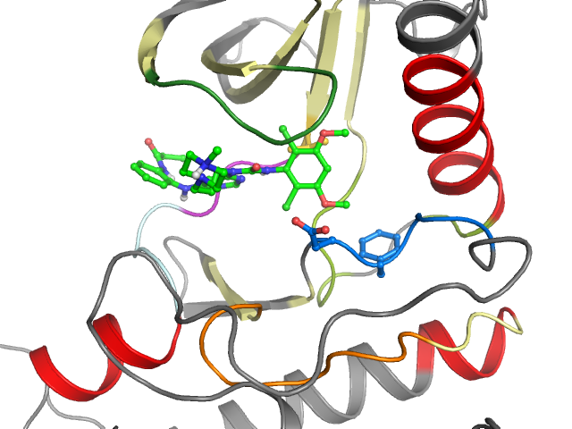 The orthosteric binding pocket