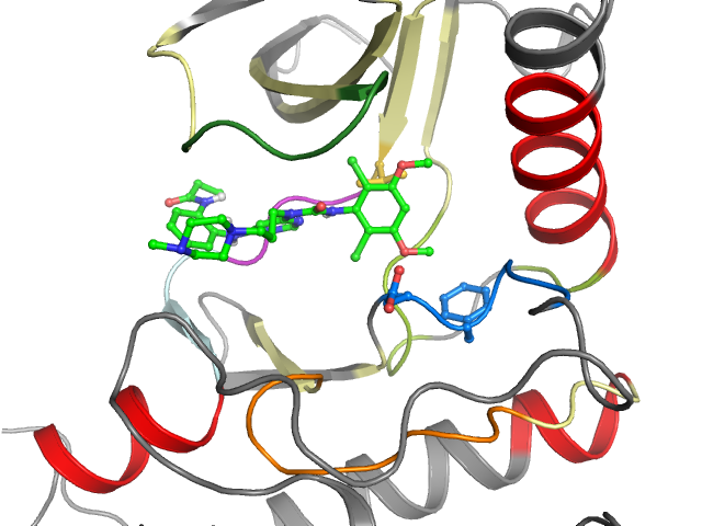 The orthosteric binding pocket