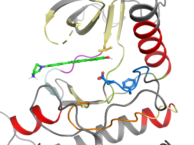 The orthosteric binding pocket