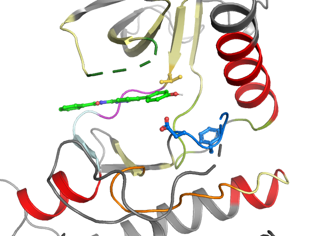 The orthosteric binding pocket