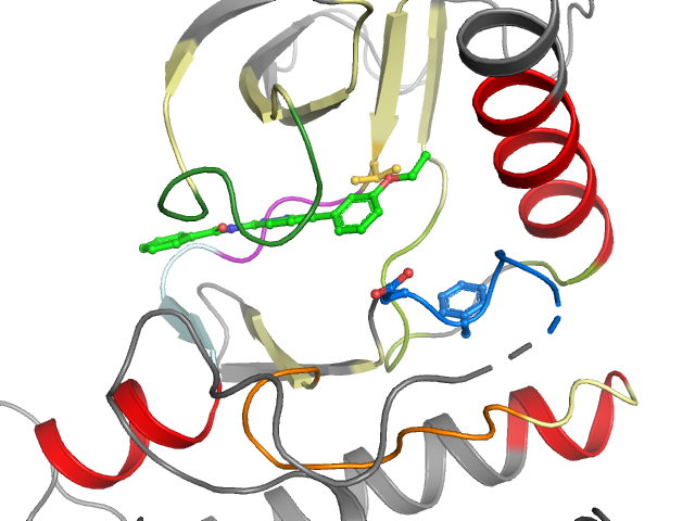 The orthosteric binding pocket