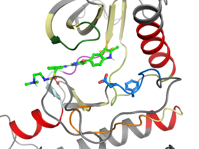 The orthosteric binding pocket