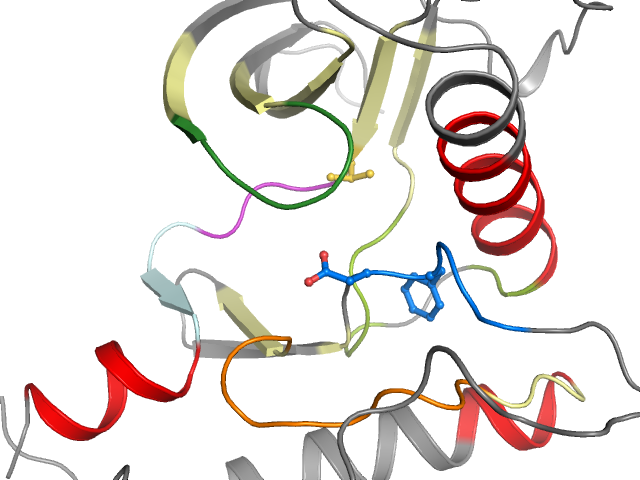 The orthosteric binding pocket