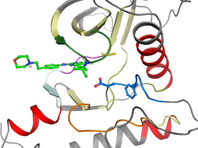 The orthosteric binding pocket