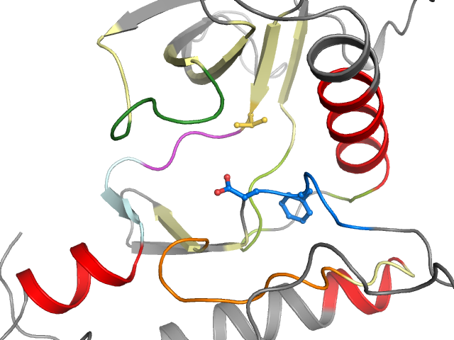 The orthosteric binding pocket