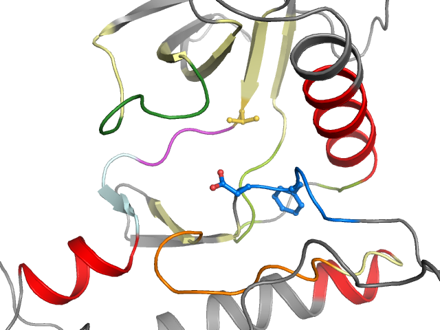 The orthosteric binding pocket