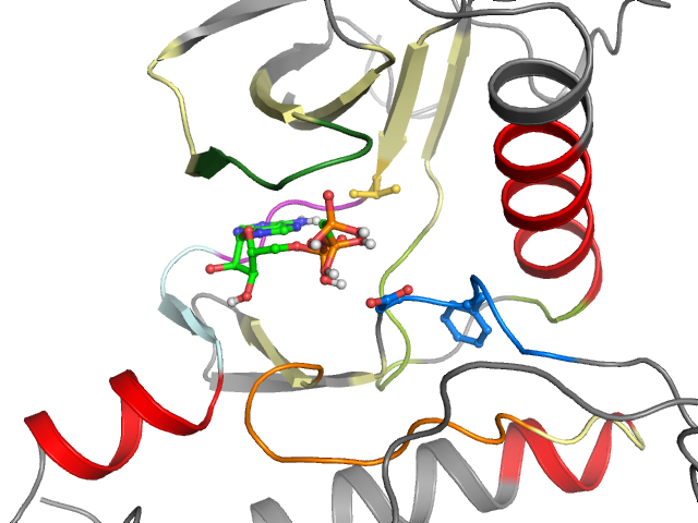 The orthosteric binding pocket