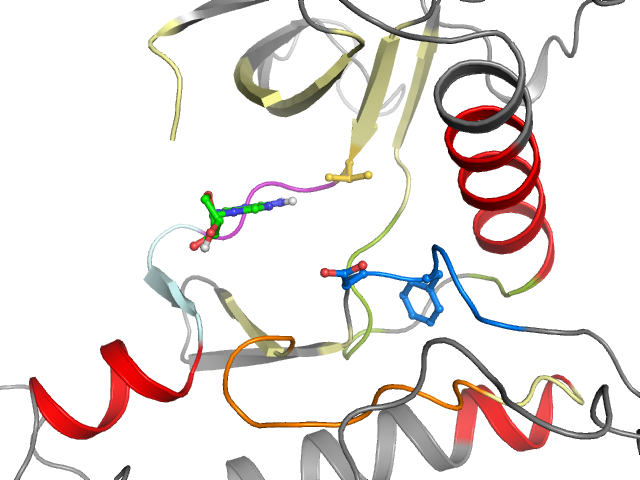 The orthosteric binding pocket