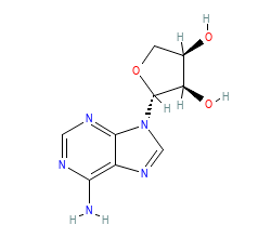 2D structure of the orthosteric ligand