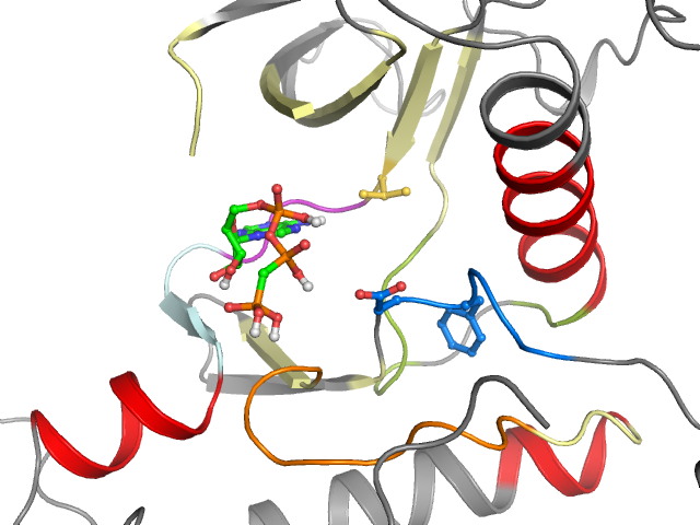 The orthosteric binding pocket