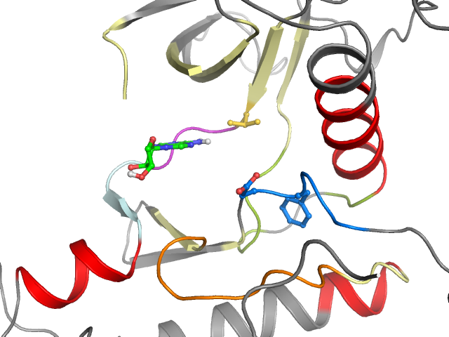 The orthosteric binding pocket