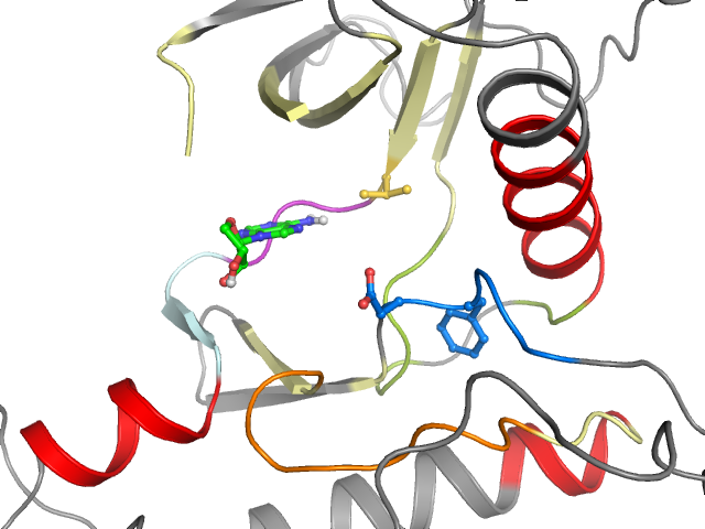 The orthosteric binding pocket