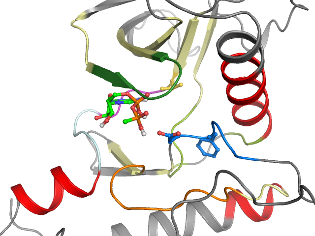 The orthosteric binding pocket