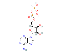 2D structure of the orthosteric ligand