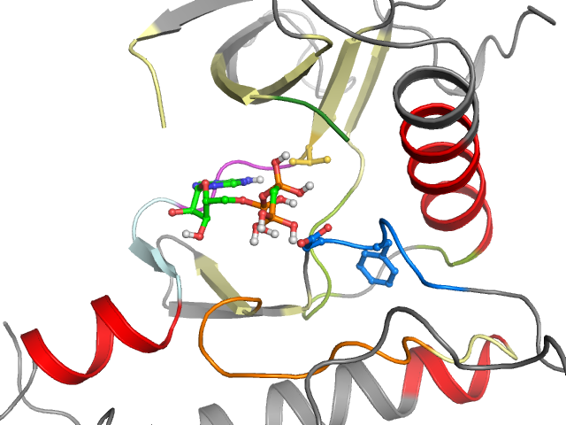 The orthosteric binding pocket