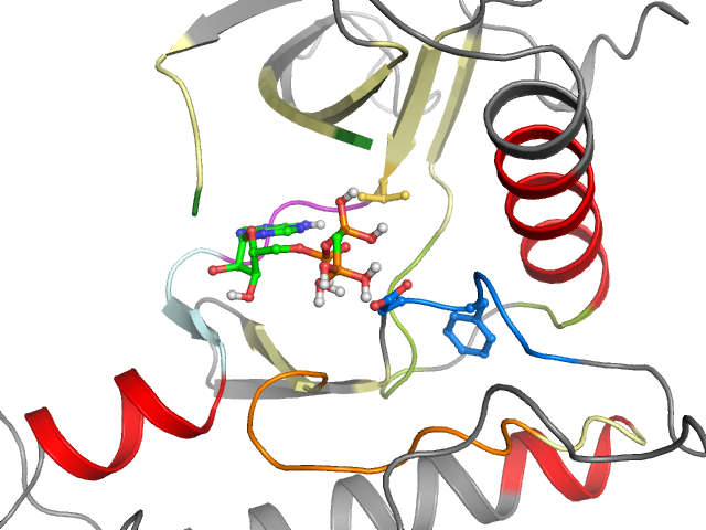 The orthosteric binding pocket
