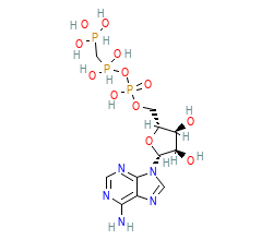 2D structure of the orthosteric ligand