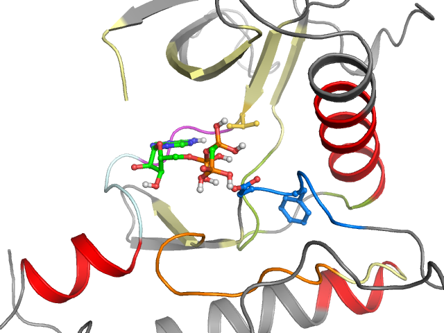 The orthosteric binding pocket
