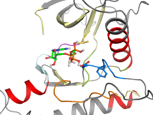 The orthosteric binding pocket