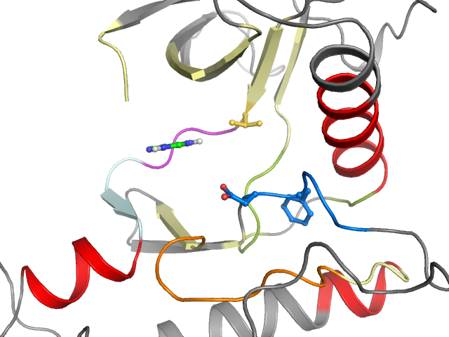 The orthosteric binding pocket