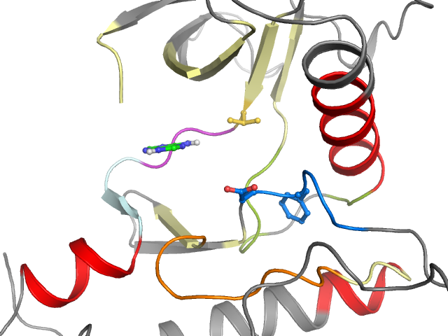 The orthosteric binding pocket