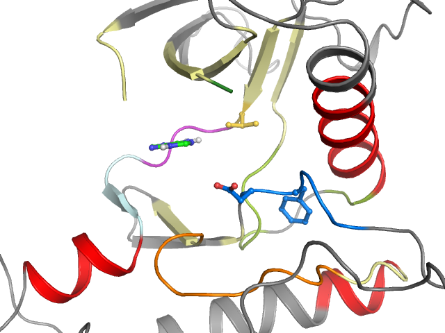 The orthosteric binding pocket