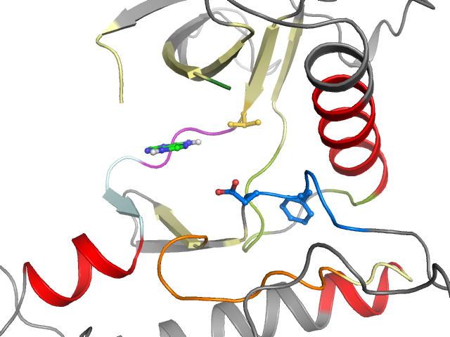 The orthosteric binding pocket