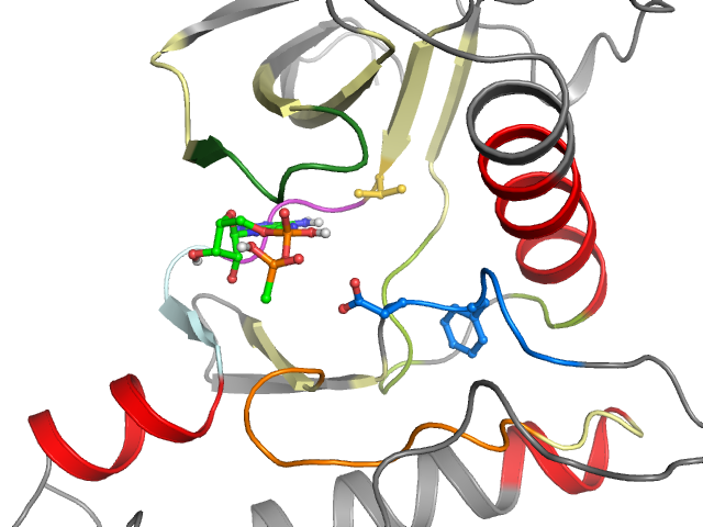 The orthosteric binding pocket