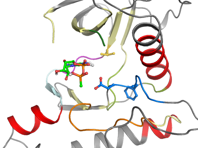 The orthosteric binding pocket