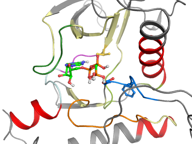 The orthosteric binding pocket