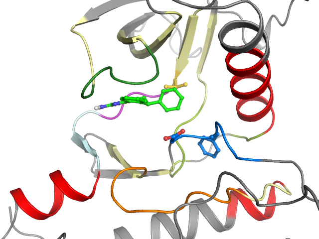 The orthosteric binding pocket