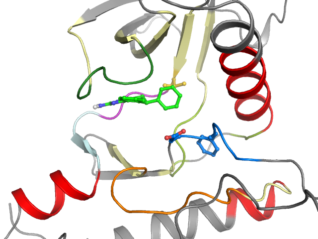 The orthosteric binding pocket