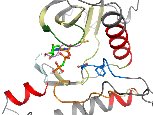 The orthosteric binding pocket