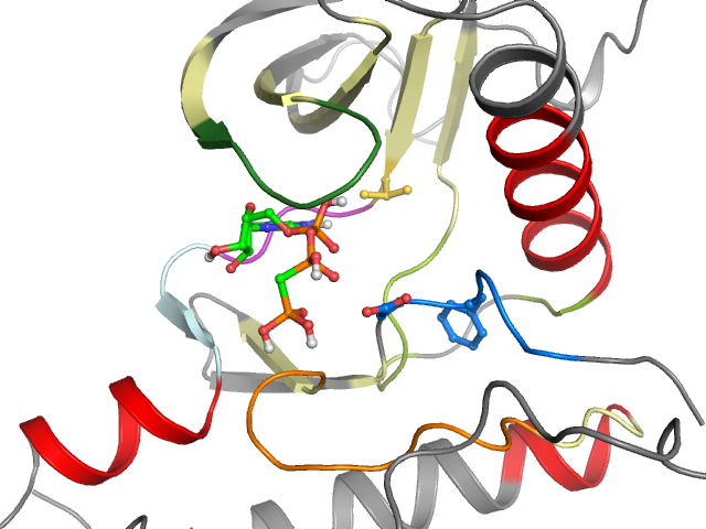 The orthosteric binding pocket