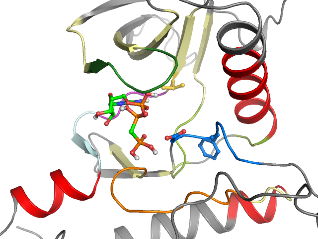 The orthosteric binding pocket