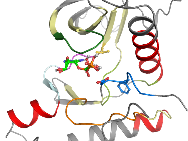 The orthosteric binding pocket