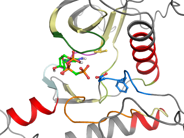 The orthosteric binding pocket