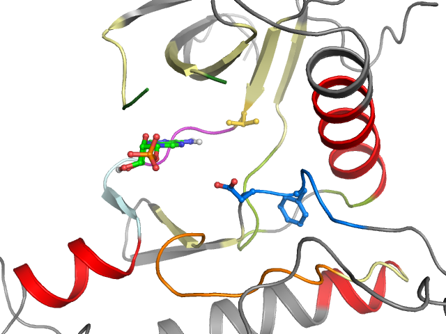 The orthosteric binding pocket